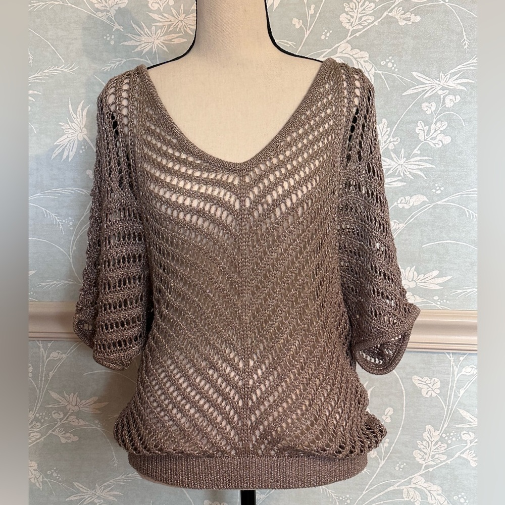 Express women’s net sweater sz M